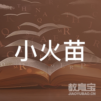 武汉小火苗艺术文化有限公司logo