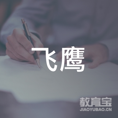 飞鹰国际教育科技（深圳）有限公司logo