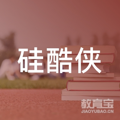 广州硅酷侠科技logo
