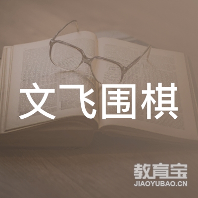 上海文飞围棋培训logo