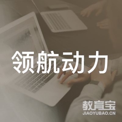 深圳领航动力教育logo