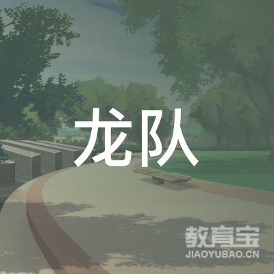 重庆龙队跆拳培训logo