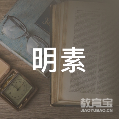 南京明素教育logo
