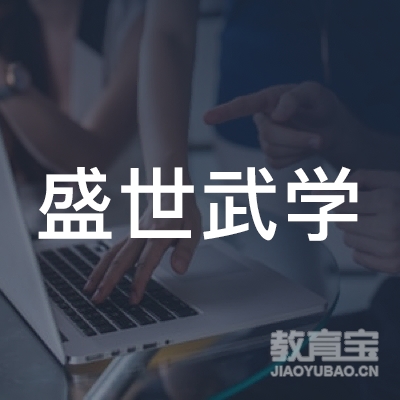 合肥盛世武学培训logo