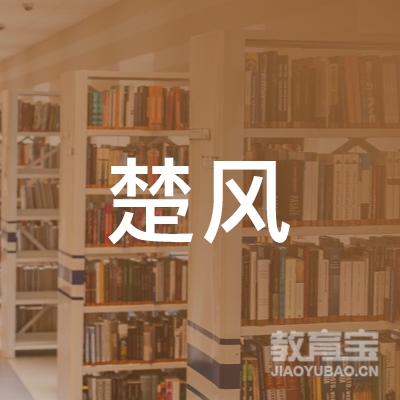 衡阳楚风艺术中心培训logo