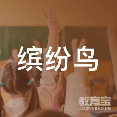 泰安缤纷鸟教育logo