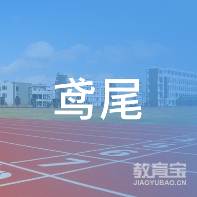 聊城鸢尾教育logo