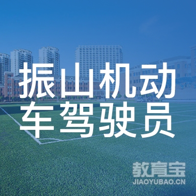 聊城振山驾校logo