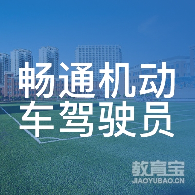 东营畅通驾校logo