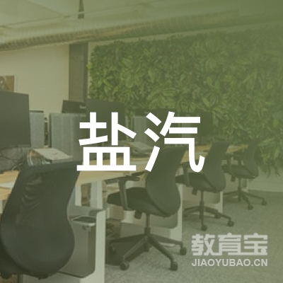 盐城盐汽驾校logo