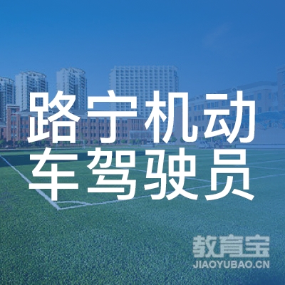 衡水路宁驾校logo