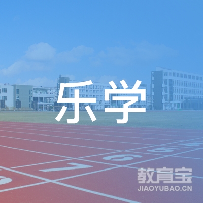 江苏乐学国内电商培训