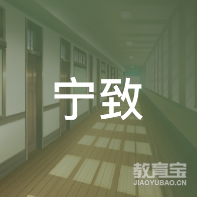 岳阳宁致培训logo