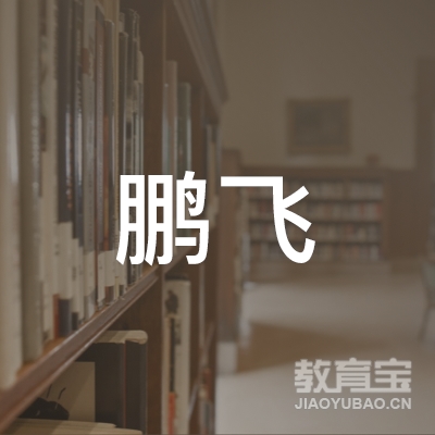 怀化市鹏飞教育logo