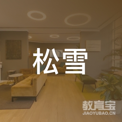 郴州松雪书法培训logo