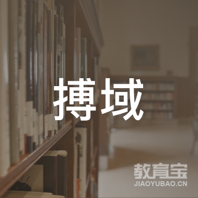 芜湖搏域跆拳道培训logo