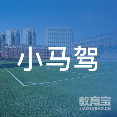 滁州小马驾艺术培训logo