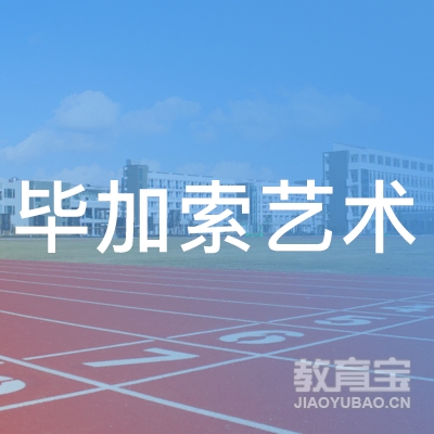 六安毕加索艺术培训logo