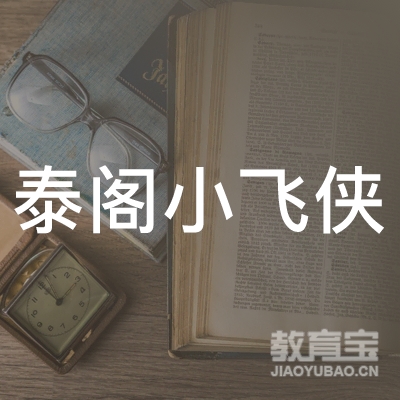 龙岩泰阁小飞侠体育培训logo