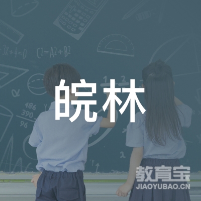 安庆市大观区皖林书画室logo