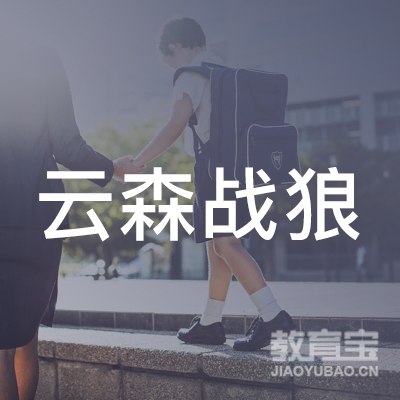安庆云森战狼体育培训logo