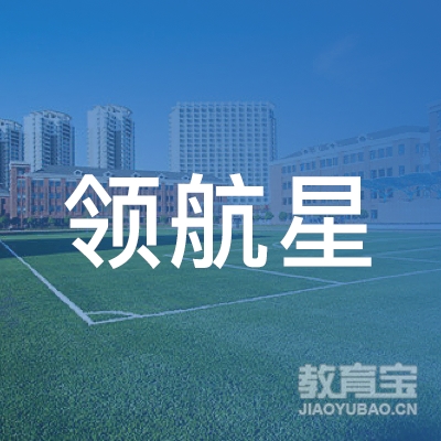 清远领航星少儿篮球培训logo