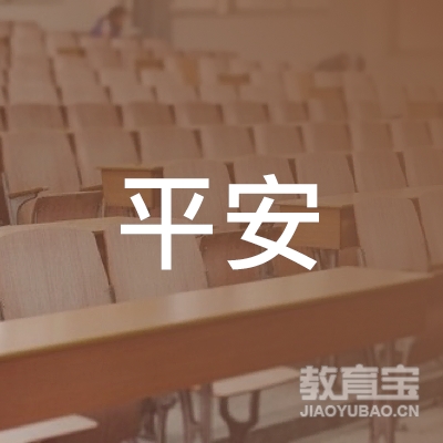 淮南平安驾校logo