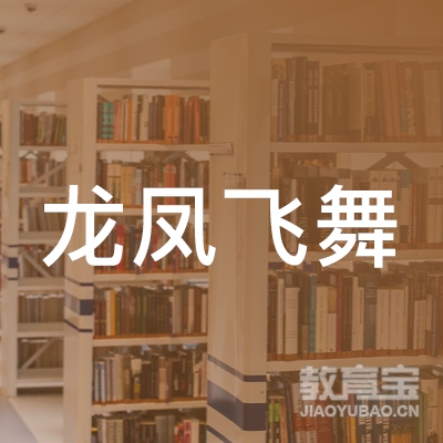 榆林龙凤飞舞琴行培训logo