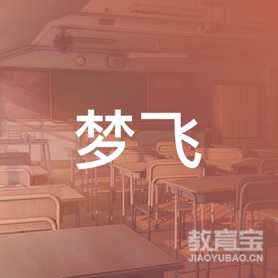 包头梦飞乒乓球培训logo