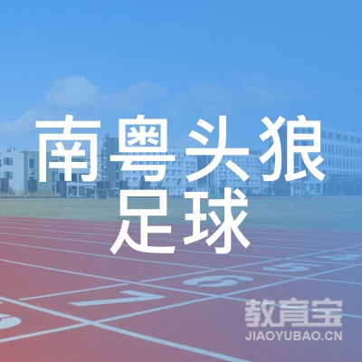梅州南粤头狼足球培训logo