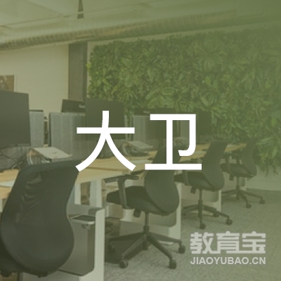 娄底大卫美术培训logo