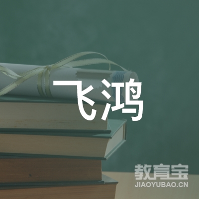 娄底飞鸿驾校logo
