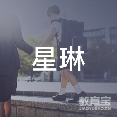 娄底冷水江市星琳舞蹈艺校logo