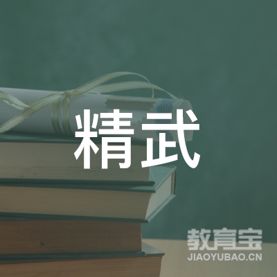益阳精武散打培训logo