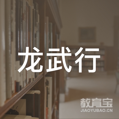 益阳龙武行武术培训logo