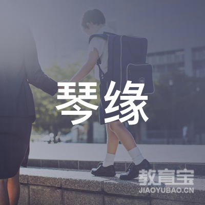 宁琴缘国乐培训logo