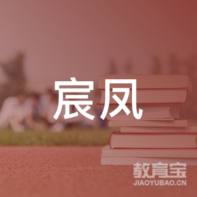 安康宸凤思维艺术培训logo