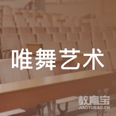 丽水唯舞艺术培训logo