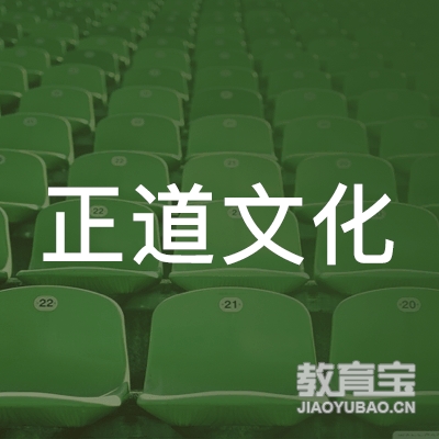 丽水正道文化培训logo