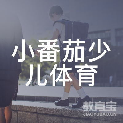 承德小番茄少儿体育培训