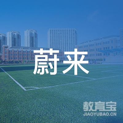 六安市蔚来艺术文化培训logo
