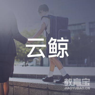 贵阳云鲸美术培训logo