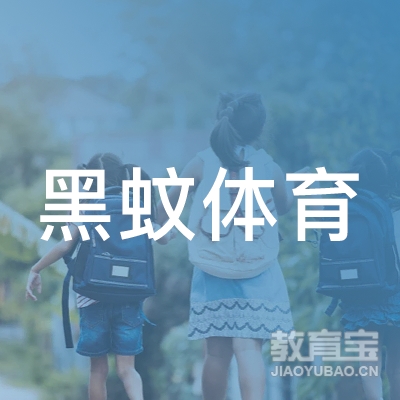 贵阳黑蚊体育培训logo