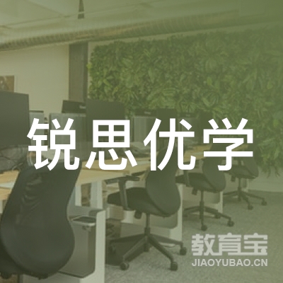 营口锐思优学数学培训logo
