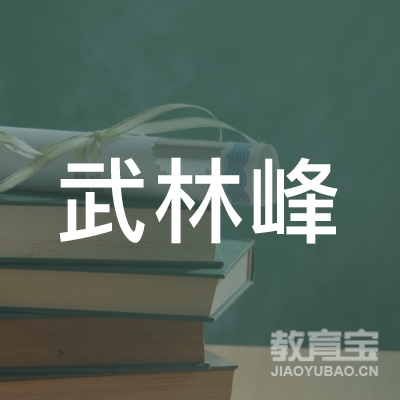 营口武林峰搏击培训logo