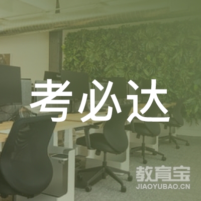 延边考必达教育logo