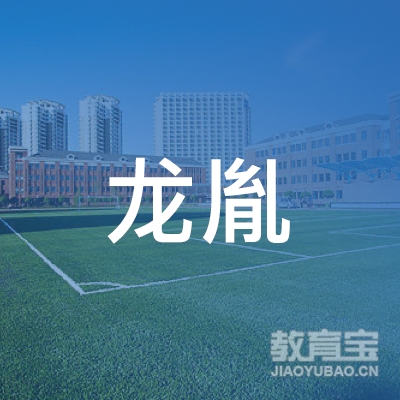 玉溪龙胤武道培训logo