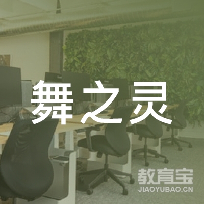 陇南舞之灵艺术培训logo