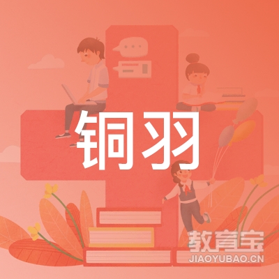 铜陵铜羽体育培训logo