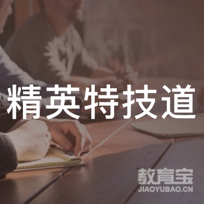 聊城精英特技跆拳道培训
